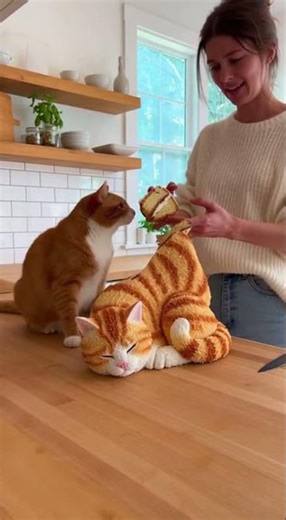 Protective Cat Goes Crazy Over Hyper-Realistic Cat Cake! #cat #viralcatvideo #funny