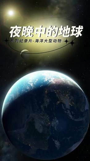 鲸鲨，到底是鲸？还是鲨？ #涨知识 #探索地球 #动物 #纪录片 #科普知识