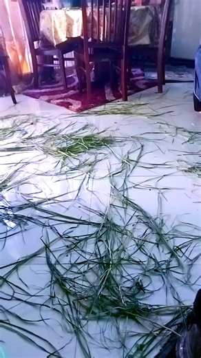 hwelwe berswe (@sabayami6)’s videos with ባርኮቴን ቆጥሬ - አሜን🏥