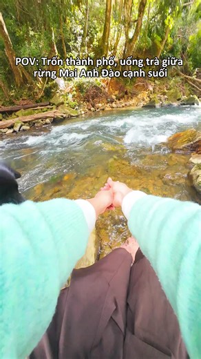 POV: Trốn thành phố uống trà giữa rừng Mai Anh Đào cạnh suối #dulichdalat #camping #thucvatvietnam #motminh