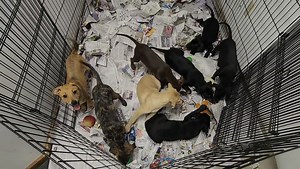 3K views · 25 reactions | Turn to full screen, sound on! These are...