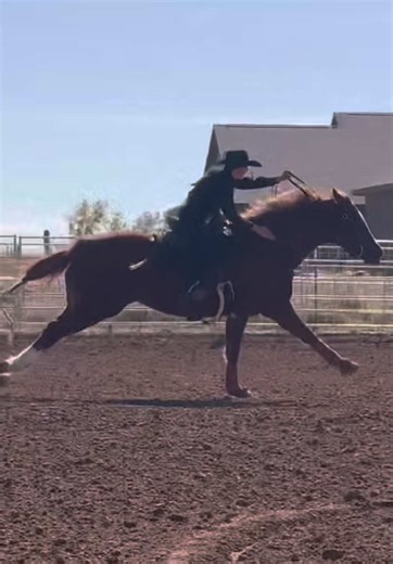 Mastering Barrel Racing Techniques for Beginners