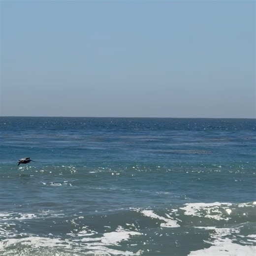 Anson Seabra on Reels