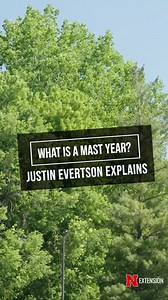 What is a Mast Year? Justin Evertson from Nebraska Forest Service explains. | Backyard Farmer