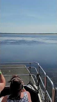 WILD FLORIDA AIRBOAT SWAMP TOUR