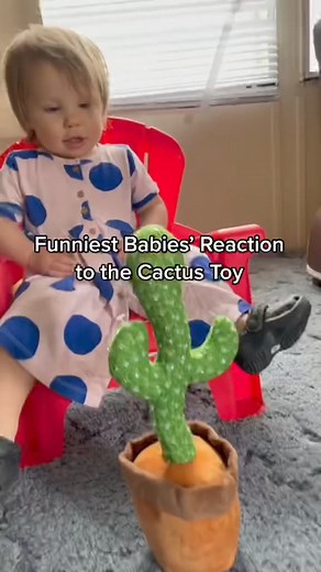 118K views · 989 reactions | Talking Cactus Toy Prank: Baby's Priceless Reactions Captured! | New Parents Centre | Facebook