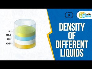 Density of Different Liquids | Science Experiments for Grade 4 | Science | Sparkle Box