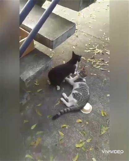 5.8K views · 116 reactions | Caso externo  Esta realidad fue...