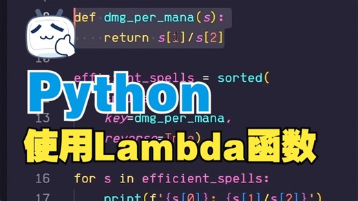 如何在Python中使用Lambda函数