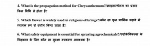 What is the propagation method for Chrysanthemum?/क्राइसान्थेमम... | Filo
