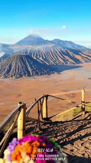 Bromo 🌋|人生第一座活火山 把永恒之花💐扔进火山口#bromo火山 #布罗莫火山日出 #印度尼西亚 #印尼旅游 #我的旅行日记