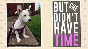 9.8K views · 95 reactions | How did NBC CT reporter Catalina Trivino...