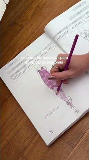 ¿Cómo estudias para aprender Anatomía? 🔍👁️🖍️