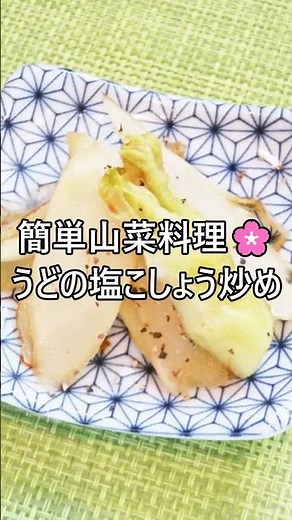 【レシピ動画】シンプルで簡単♪春の味覚の山菜🌸うどの塩こしょう炒め★ #shorts #簡単レシピ #山菜 #山菜料理 #うど #春の味覚