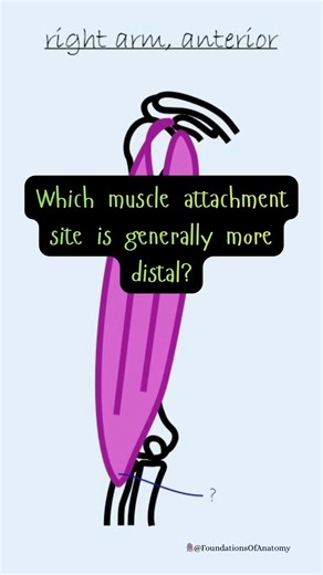 Learn the language of anatomy #anatomy #quiz #shorts