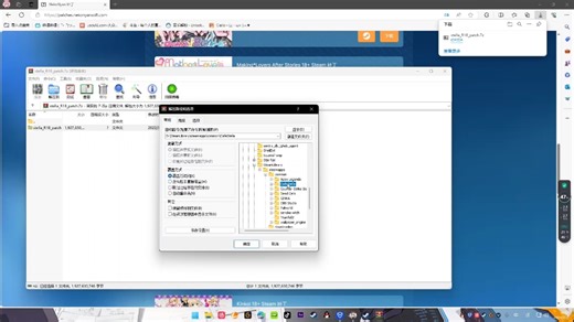 一个关于steam上柚子社作品如何打补丁的教程视频