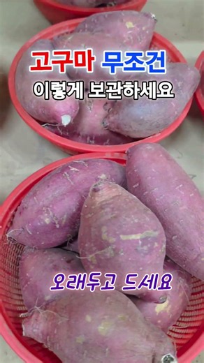 How to Store Sweet Potatoes Correctly #WellVentilatedArea #HealthTips TheAnswerIsInTheComments #H...