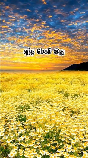 pookkal pookkum #tamilshorts #lovestatus #tamilsong