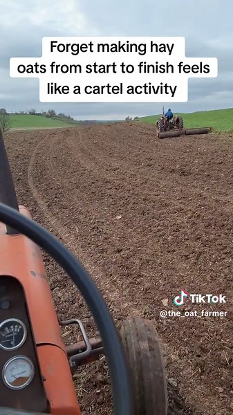 #0ats #oat_farmer #allischalmers #international #johndeere #plant2025 #cartel
