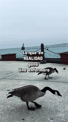 La verdadera riqueza de una enfermera no está en lo que recibe, sino en las vidas que tiene el privilegio de cuidar. 💙 #enfermeria #realidad #enfermera #hospital #motivation
