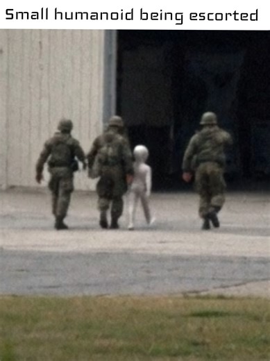 Possible Alien / Small humanoid sighting caught on tape - soldiers escort small humanoid into hangar. I don't think this was bring your kid to work day... 👽 #UFO #AlienEncounter #MilitarySecrets #AmateurFootage #Unexplained