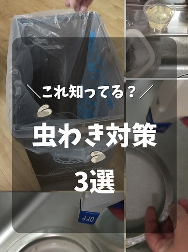 ＼夏前にやっておきたい！／ 簡単＊虫対策3選 1. 小バエ→酢＋水＋洗剤（※前回リール参照） 2. 排水口→掃除＋アルコールスプレー 3. ゴミ箱→重曹ひとつかみ 材料は家にあるものでOK！ 虫が出る前の「予防」がポイント！ #虫対策 #小バエトラップ #排水口掃除 #ゴミ箱の臭い対策 #暮らしの知恵 #主婦の味方