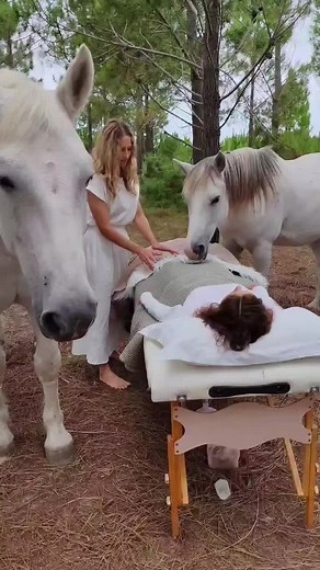 Co-Creation in Energy Healing with Horses
