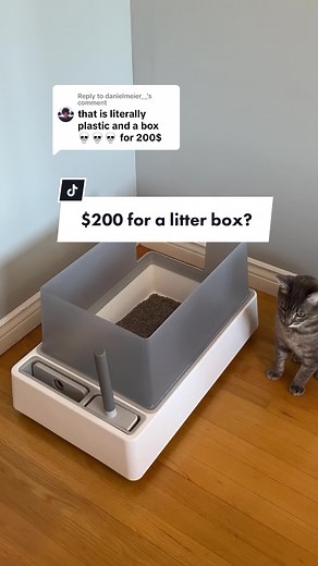 Cove Litter Box: Worth the Investment? | Best Cat Litter Box Review