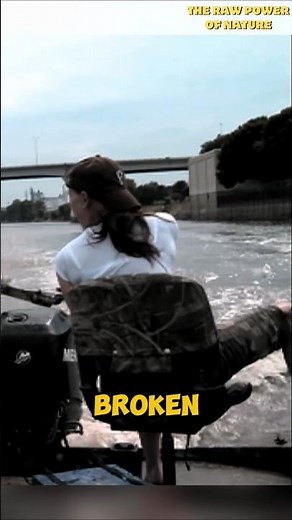 Asian Carp Attacks People
