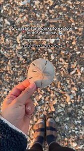 5 coastal state parks the Carolina #northcarolina #travel #bucketlist