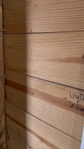 Have you heard a horse purr before? Freedom is living her best life now & knows just the right times to show up at the feed room door 😅 #horserescue #happyhorse #indiana #indianabarnyard #saddlebred | Indiana Barnyard