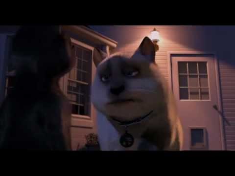 Movie Cat - Stella meets Tiberius (Tiger) for the first time