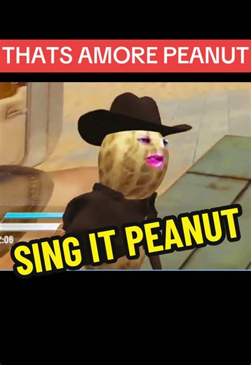 That’s Amore — Peanut the Songbird Squirrel (Clip)