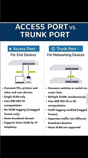 Access Port vs Trunk Port | Networking Basics Explained (CCNA Level)