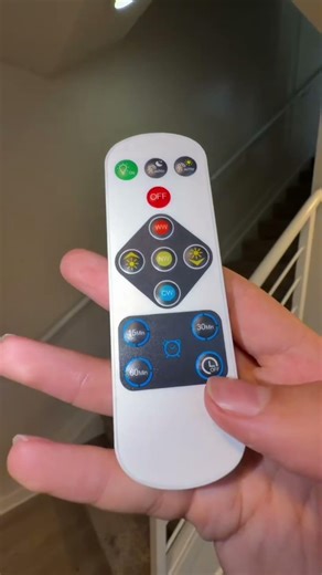 Here is the Link to this Motion Sensor Ceiling Light with Remote for Home