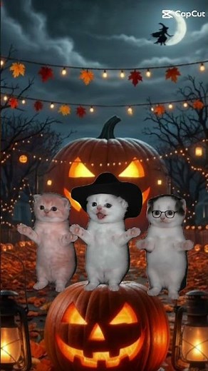 Gatitos bailando trend de la calabaza 🎃 #halloween #fyp #cat #tiktok