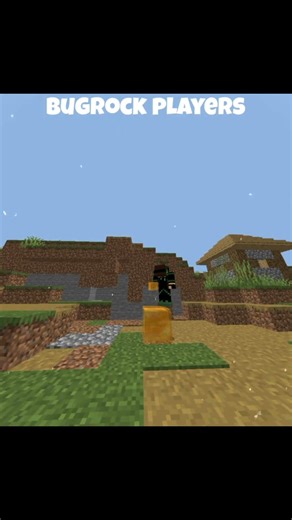 java player vs bugrock player #minecraft
