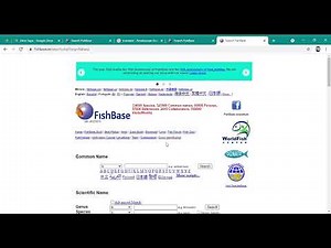 Cara Menggunakan Data Base FishBase ( Elecrtophorus electricus )