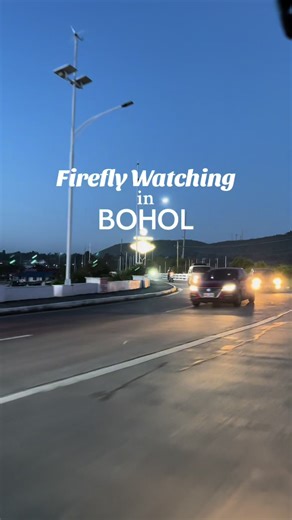 Bohol Firefly Watching: A Magical Must-Try!