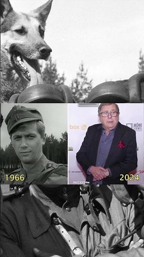 Czterej pancerni i pies #polska #film #history #ww2 #trending #ciekawostki #historical #historia