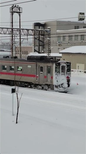 20260104根室本線キハ54#根室本線#キハ54 #automobile #railway #short