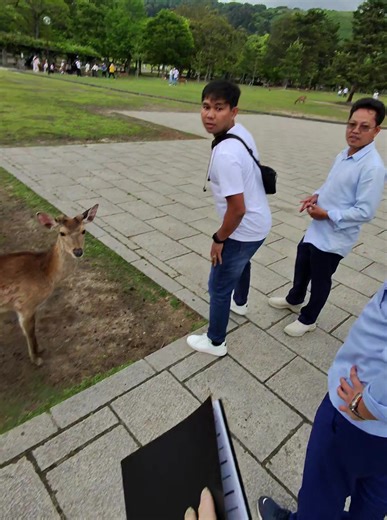 ブレインロットのいたずらが日本で話題