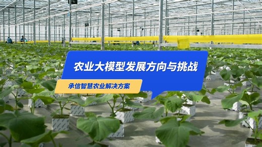 农业大模型发展方向与挑战