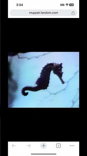 Sesame Street 1972 Seahorse
