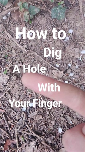 How to dig a hole with your Finger(better version than @HowToBasic )