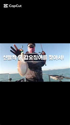 #갑오징어낚시 #갑오징어에기 #갑오징어채비 #갑오징어 #봄갑오징어 #좋아요 #구독과좋아요