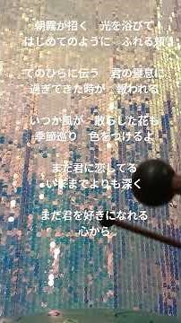 また君に恋してる タングドラム #music #ビリーバンバン #音楽 #坂本冬美 #ツインレイ