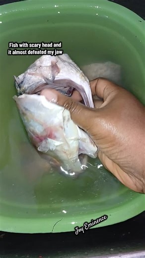 Discovering Scary Fish: A Cooking Adventure