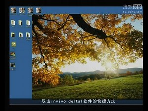 03 - 打开 InVivo文件