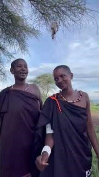 Lifahamu Kabila la Maasai na Asili za Nyimbo zao #wildlife #automobile #birds #birdphotography